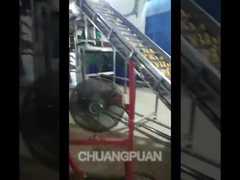 Как производится целлюлоза манго?Машины для производства целлюлозы манго