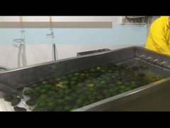 Как обрабатывать HPP или охлаждать мякоть авокадо?