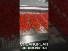 Вы знаете, как производится сок морской шипы? Давайте посмотрим вместе