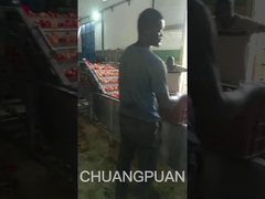 Давайте посмотрим на линию производства томатной пасты среднего типа в Африке.